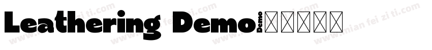 Leathering Demo字体转换